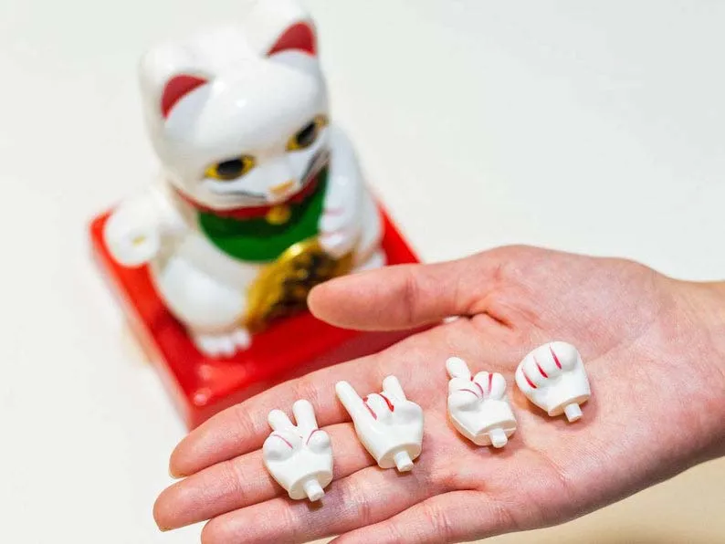 Chinese Gelukskat Cattitude