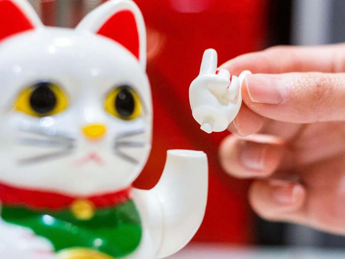 Chinese Gelukskat Cattitude