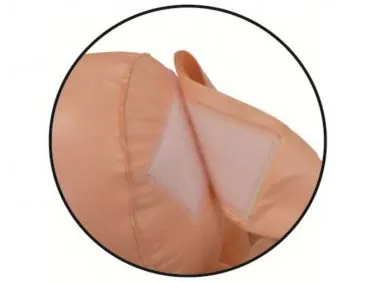 Cock Fighting Penis Duell