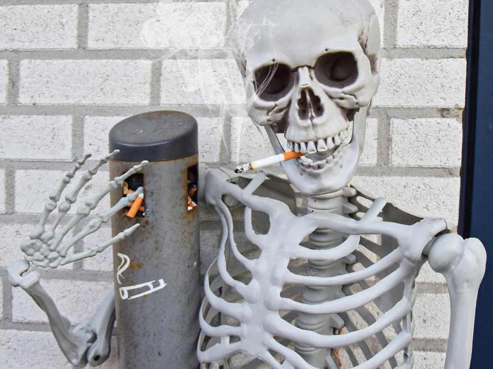 Levensgroot Skelet 1m70