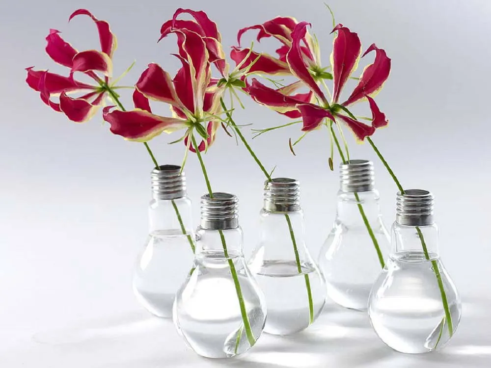 Gloeilamp Vaas (Set van 6)