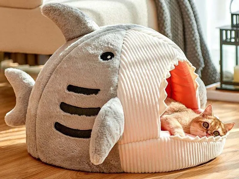 Haai Kattenmand Deluxe