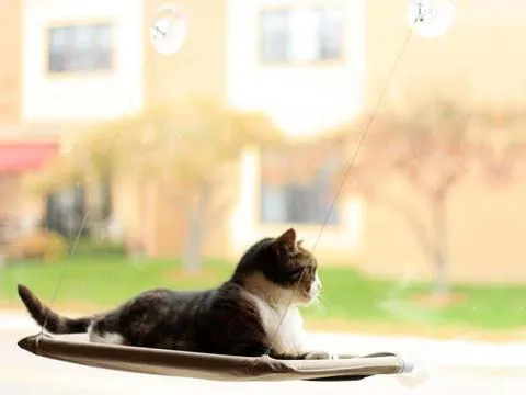 Katzenbett fürs Fenster