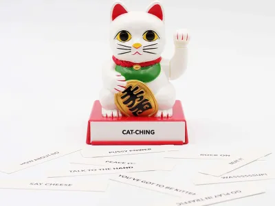 Chinese Gelukskat Cattitude