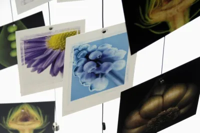 Magnetic Photo Chain