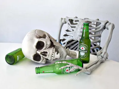 Levensgroot Skelet 1m70