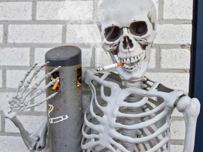 Levensgroot Skelet 1m70