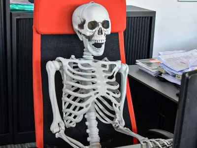 Levensgroot Skelet 1m70