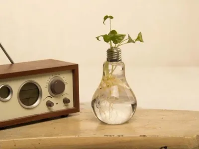 Gloeilamp Vaas (Set van 6)