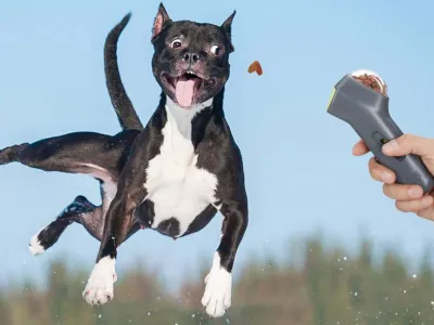 Hondensnack Launcher