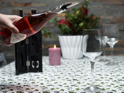 Wine Bottle Opener Set