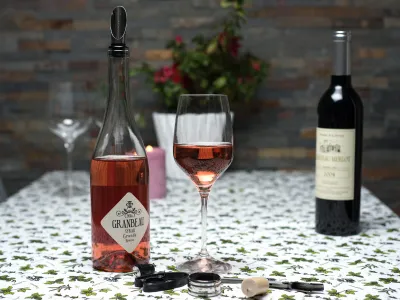 Wine Bottle Opener Set