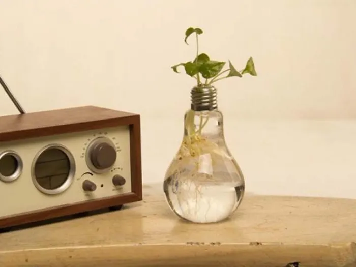 Gloeilamp Vaas (Set van 6)