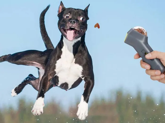 Hondensnack Launcher