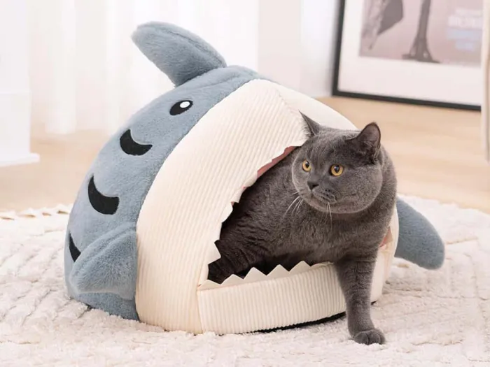 Haai Kattenmand Deluxe