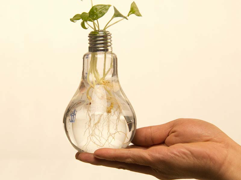 Light Bulb Vase (Set of 6) Gloeilampenvazen Light Bulb Vase CoolGift