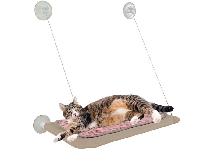 gracht corruptie Cyclopen Kattenbed Voor Aan Het Raam | Window Cat Bed Kopen - CoolGift