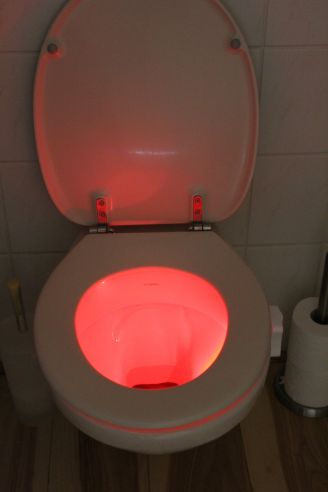 Led Toilet Light