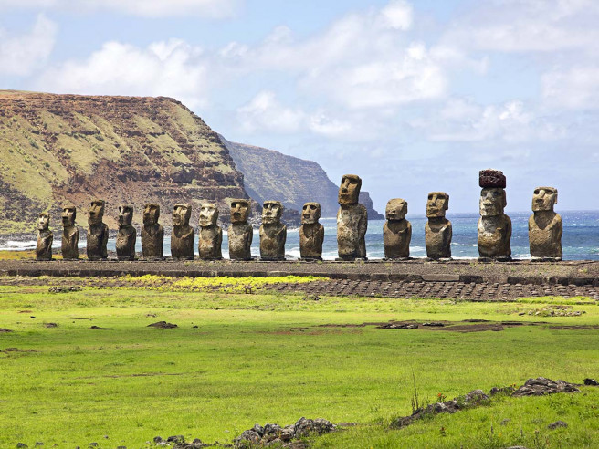 Moai Tissue Halter